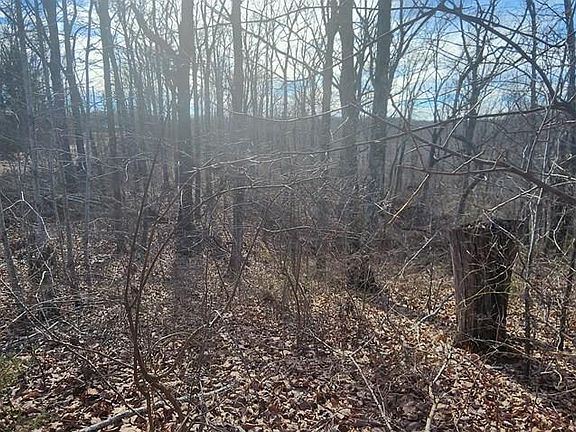 3rd image of Id22 Lakeview Trl