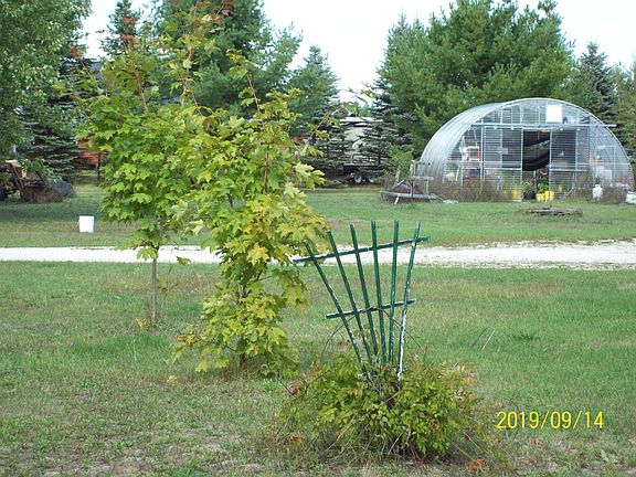 working greenhouse 20x20