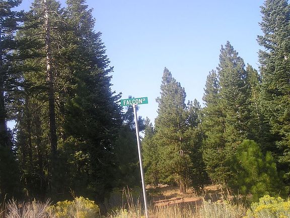 Actual Falcon Rd. Signage