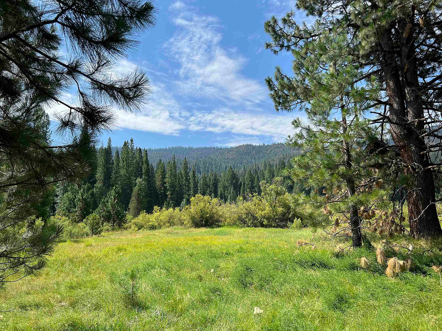 151 Boulder Dr, Clio, CA 96106 Zillow