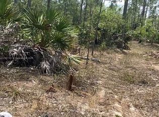 1315 Highland Ave, Lehigh Acres, FL 33972