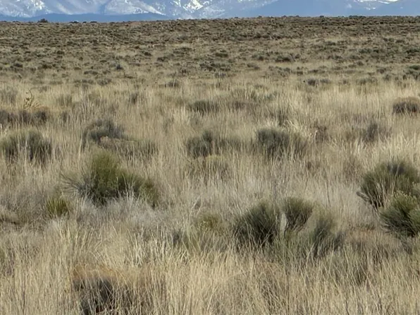 Lot 8 Joe Road, San Luis, CO 81152