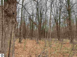 W M 115, Mesick, MI 49668