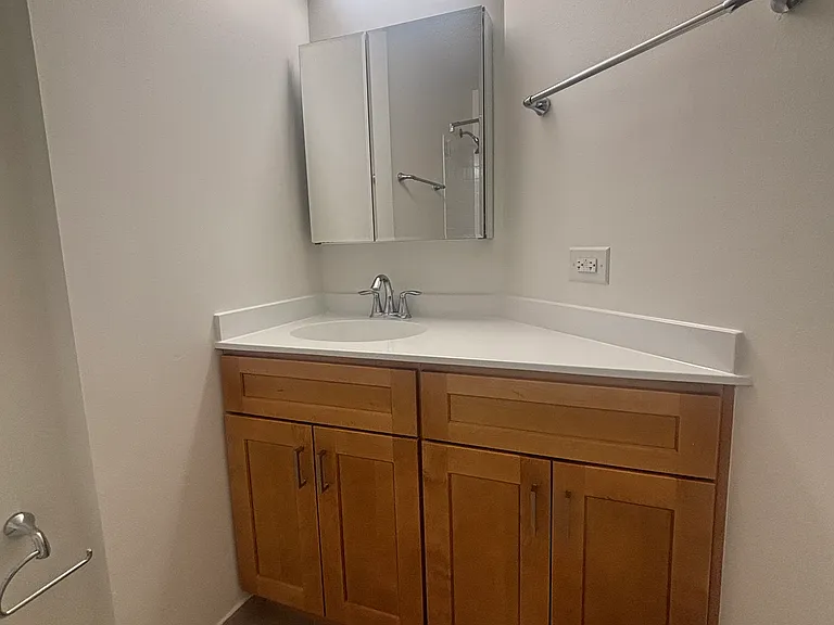 745 N Dearborn St #1003 — Photo 10