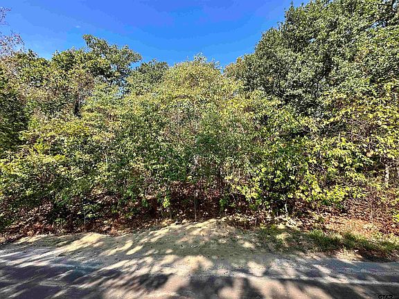 2nd image of Holiday Pine Dr
