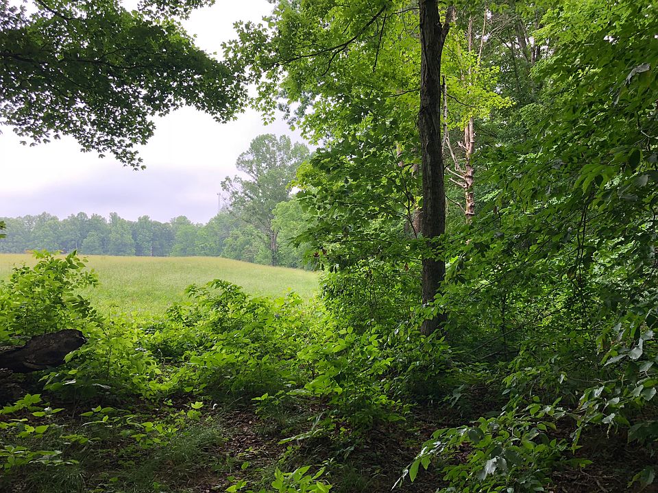 2nd image of LOT 1 Casparis Rd