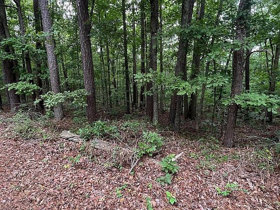2nd image of 0 Ridge Rd