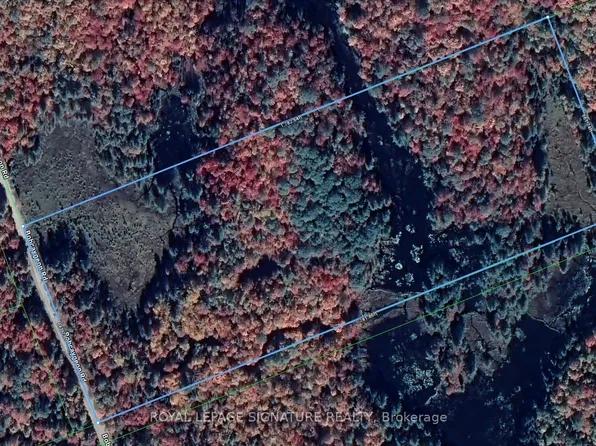 0 Bobcaygeon Rd, Minden Hills, ON K0M 2K0