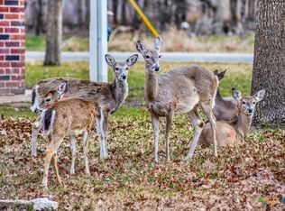 Lots 3 And 4 Walnut, Belton, TX 76513