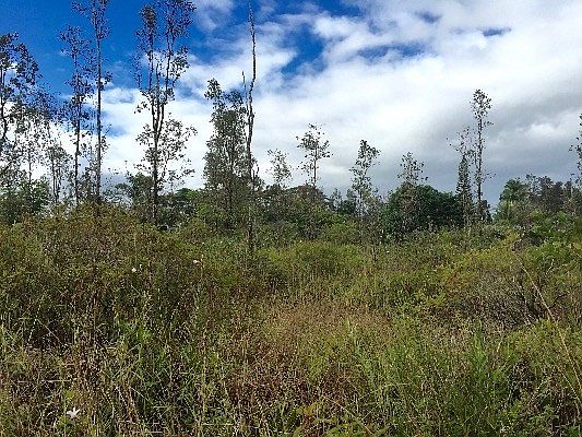 2nd image of Tree Fern Dr Lot 22