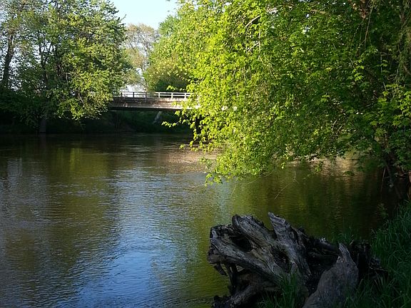 Gorgeous river views