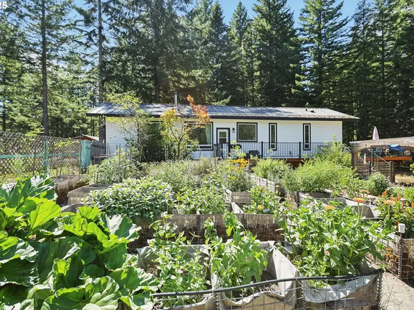 11 Edgewater Dr, Carson, WA 98610