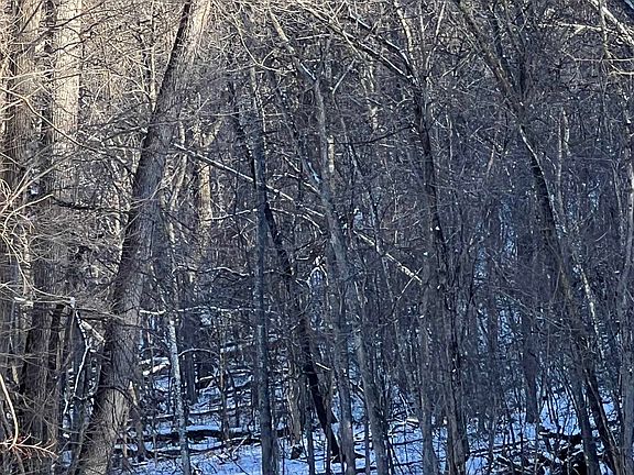 5th image of 16168 Deer Valley Trl