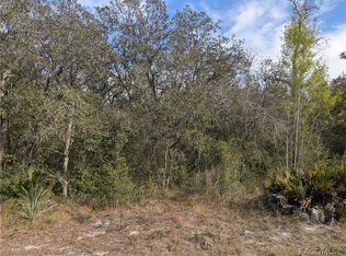 6775 S Sorrell Ave, Homosassa, FL 34446