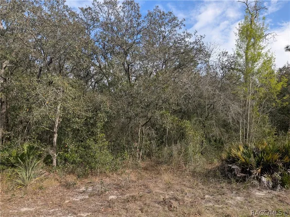 6775 S Sorrell Ave, Homosassa, FL 34446