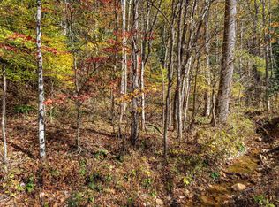 Tbd Lumpkin Branch Rd, Mountain City, TN 37683