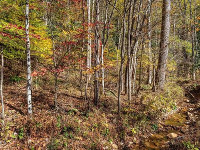 Tbd Lumpkin Branch Rd, Mountain City, TN, 37683