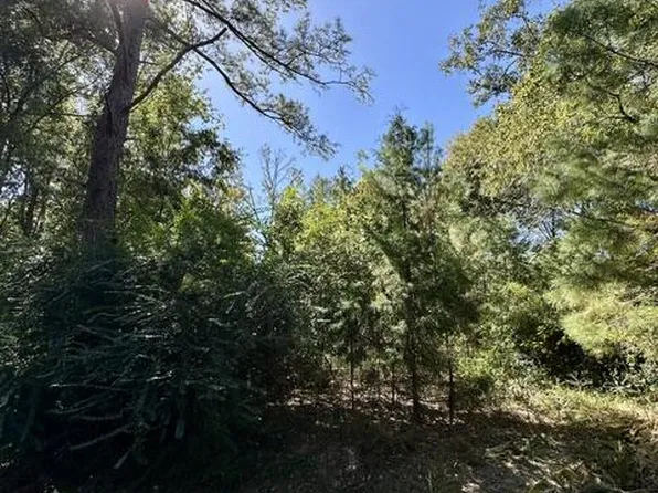 LOT 1&3 Pinecrest Dr, Wewahitchka, FL 32465