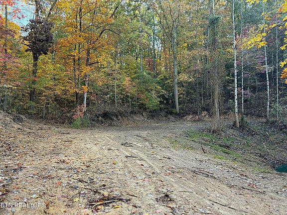 4th image of 431 & 425 Smokey Rd