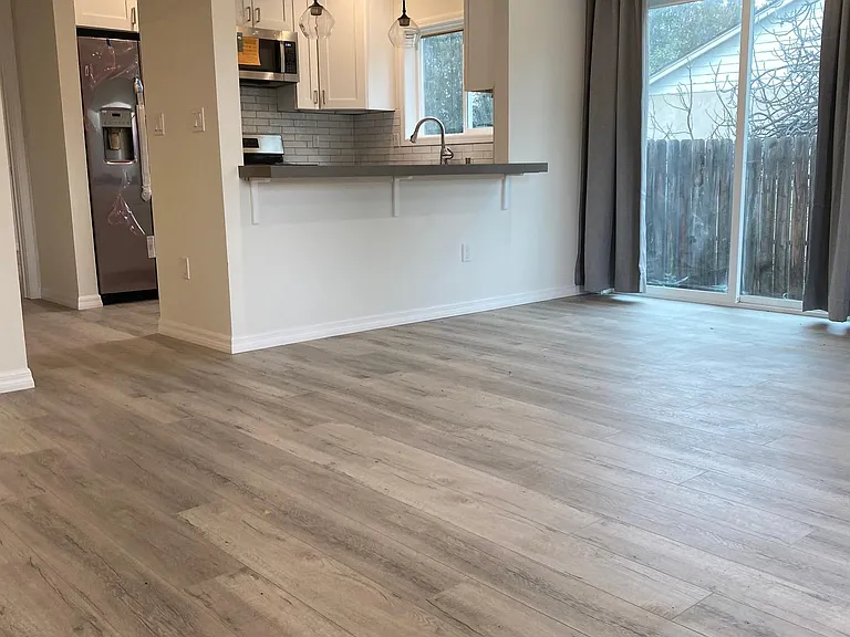 Open living room and kitchen