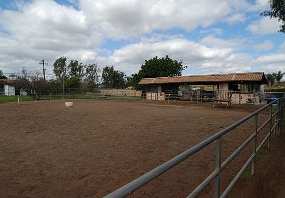 Arena 1/2 Acre Lot Size