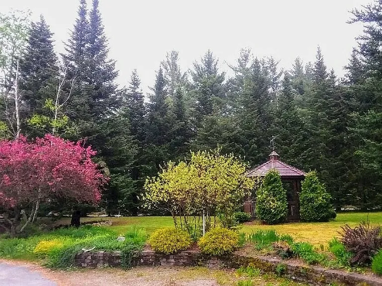Window View