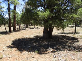 3885 Durango Dr, Happy Jack, AZ 86024