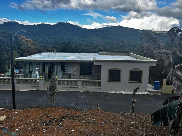 241 Comunidad Alerta, Maricao, PR 00606