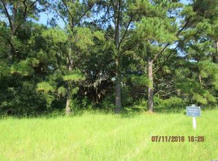 895 Grand Oak Dr, Georgetown, SC 29440