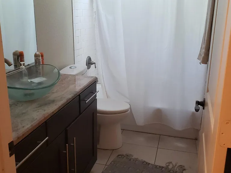 Downstairs Bathroom (#1)