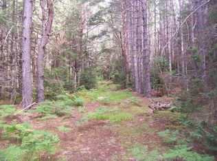 ON Boygan Lake Rd, Land O' Lakes, WI 54540