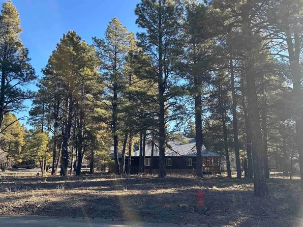 9 Ruby Court, Pagosa Springs, CO 81147