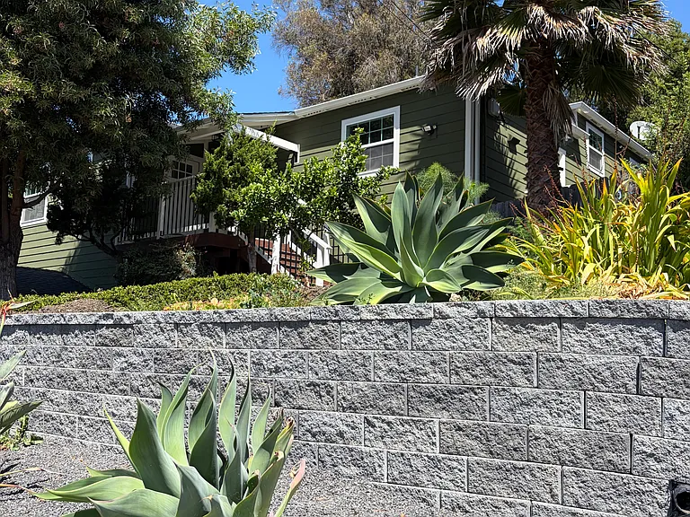 Margarita Ave — Photo 2