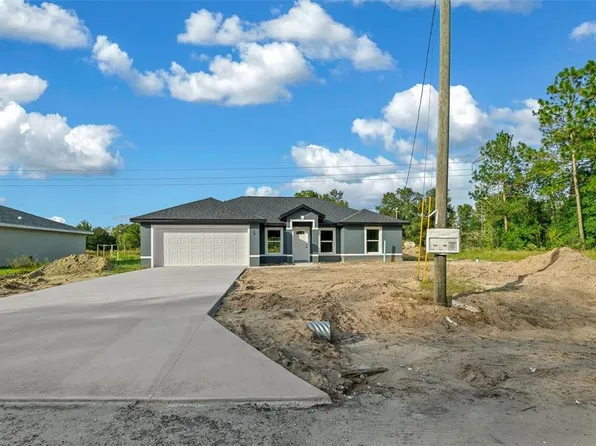 20 Bay Place Ct, Ocklawaha, FL 32179