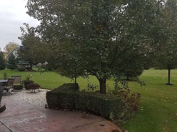 5th image of 141 Lakeshore Dr