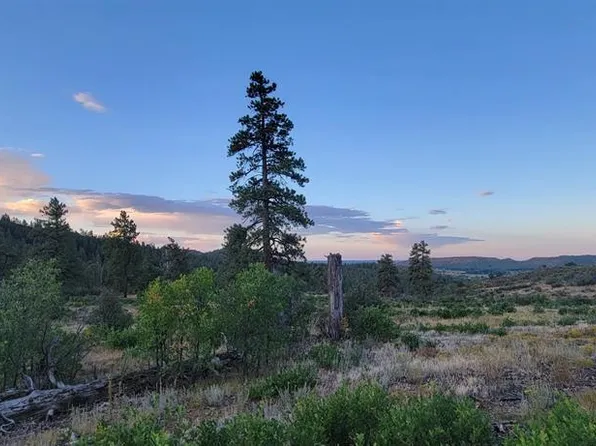 Lots 4 and 5 Beaver Creek Ranch Dr, Bayfield, CO 81122