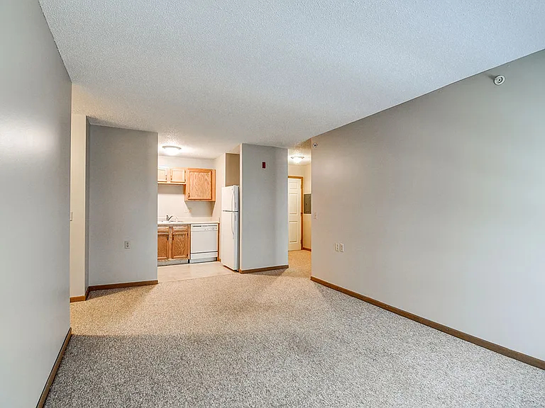 Living Area and Kitchen