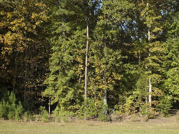 3rd image of LOT 3 Hidden Preserve Dr Lot 3