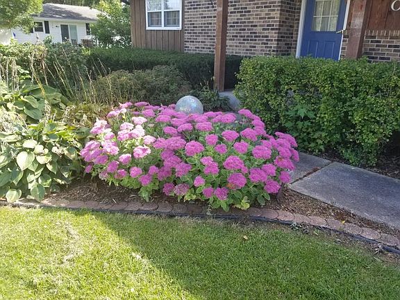 Landscaped birds/butterflies