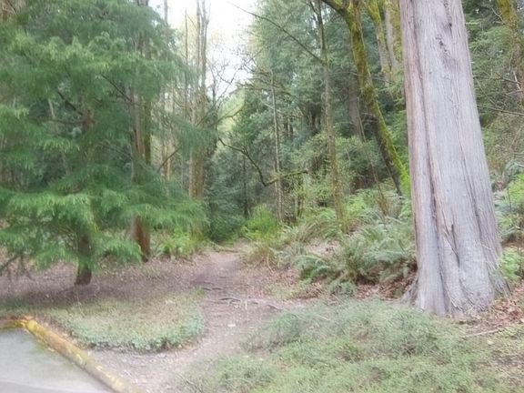 2nd image of 17415 NE 88th Pl