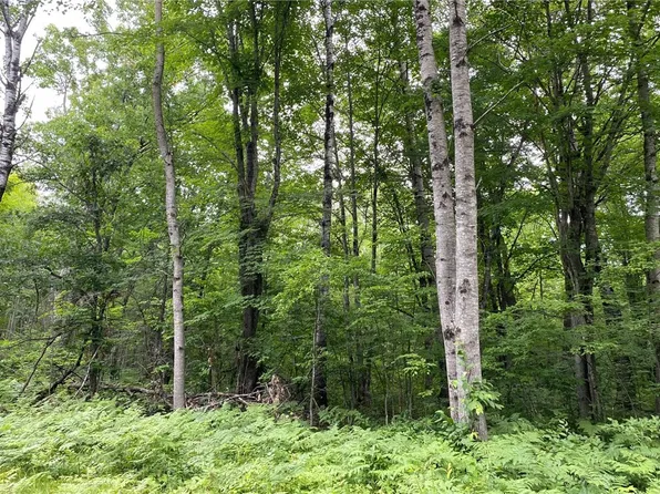 Lot 18 Tanglewood Court, Cable, WI 54821