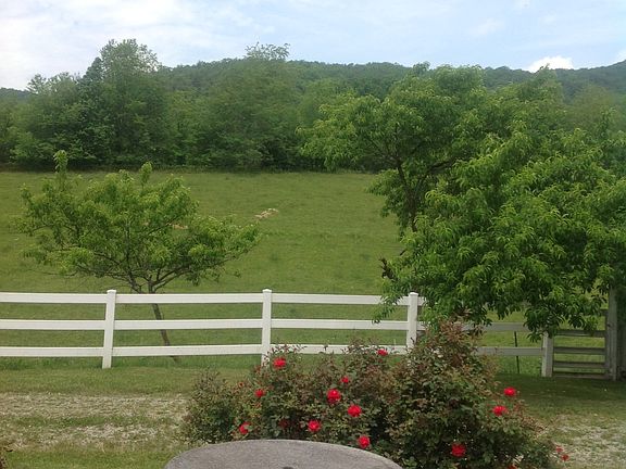 View from back porch