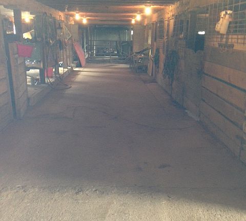 lower barn w/box stalls