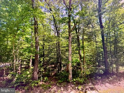 LOT 19 Mission Pl, Millsboro, DE, 19966