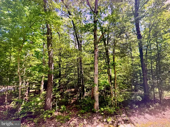 LOT 19 Mission Pl, Millsboro, DE 19966