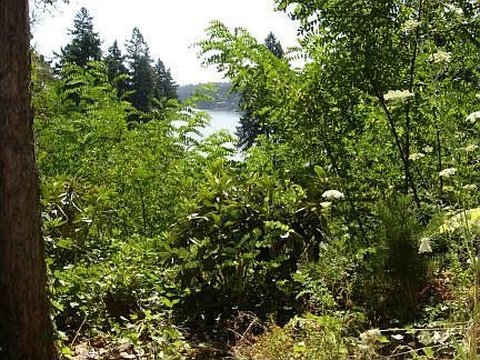 pretty view of the lake