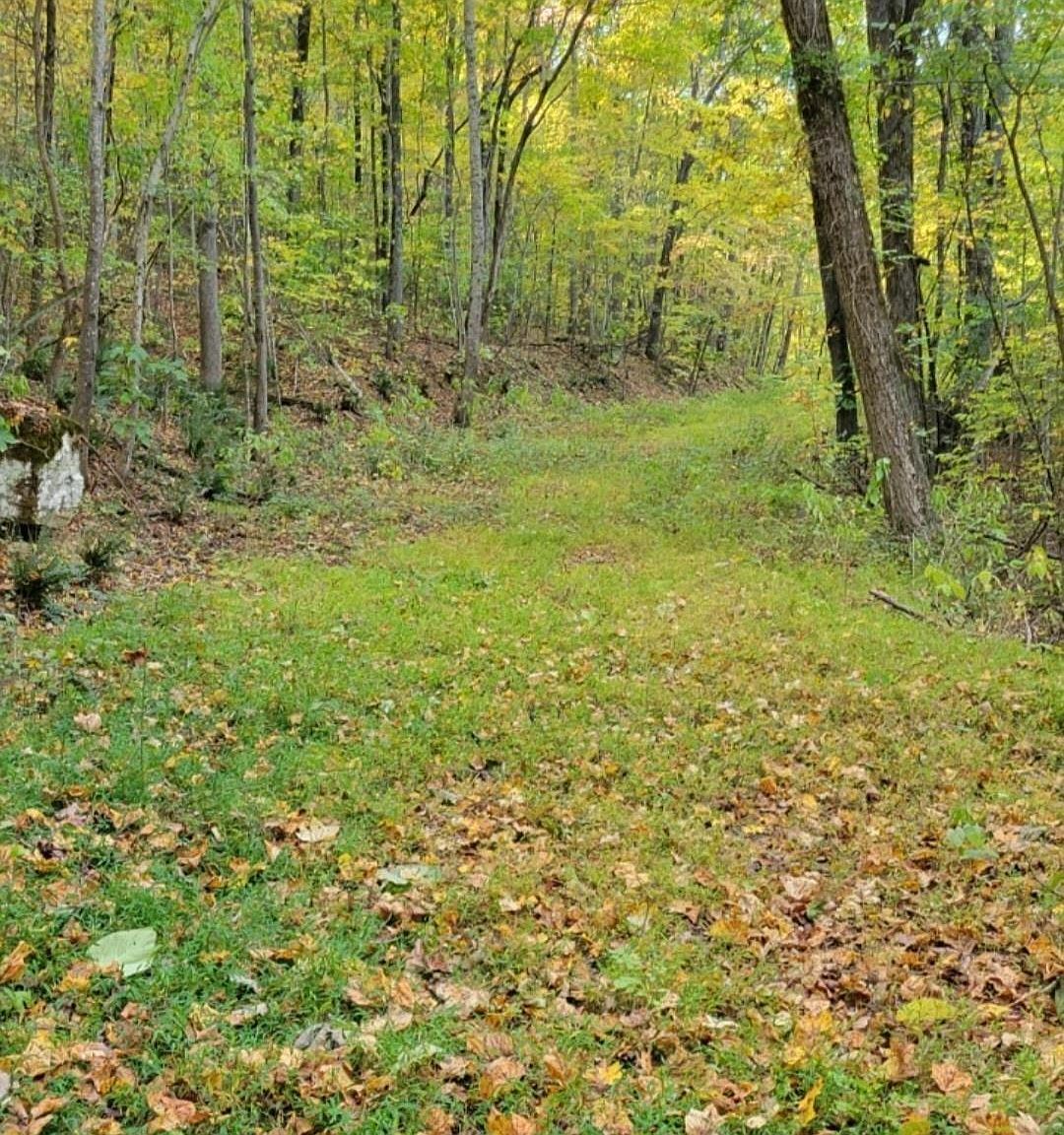 Butler Mill Rd, Grant, AL 35747 Zillow