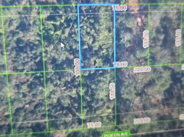 234 Swift Ave, Sebring, FL 33870