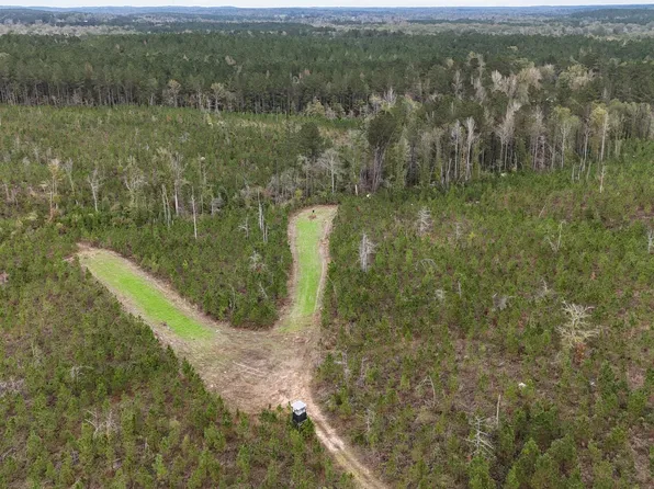 Skinner Place Rd, Union, MS 39365