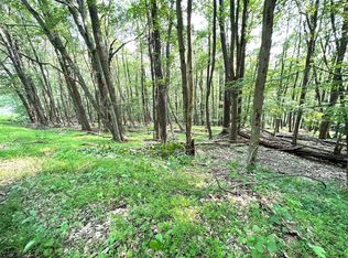 Lots 69 & 70 Clover Dr, Terra Alta, WV 26764